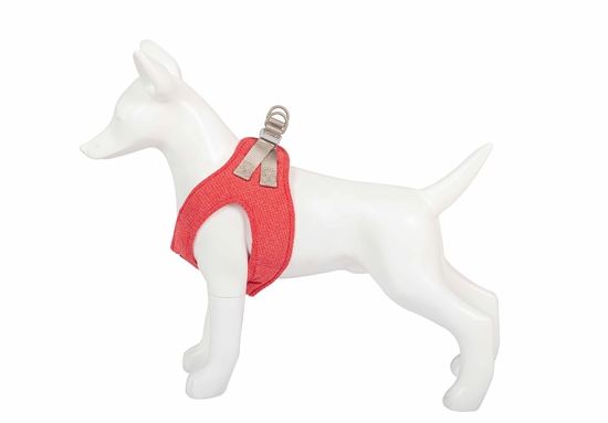 Picture of FREEDOG SHIVA HARNESS